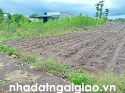 Đất mặt tiền đường bê tông tại Đá Bạc bán