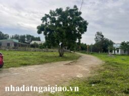 Đất mặt tiền đường bê tông 5m tại Đá Bạc, Châu Đức bán