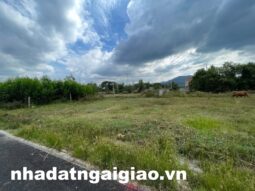 Lô đất xã Châu Pha gần đường vành đai 4 133m2