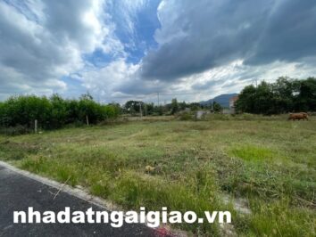 Lô đất xã Châu Pha gần đường vành đai 4 133m2