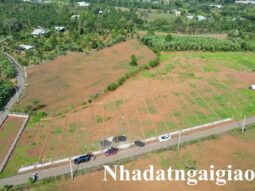 Lô đất siêu đẹp 5 x 35 tại Bầu Chinh, Châu Đức bán
