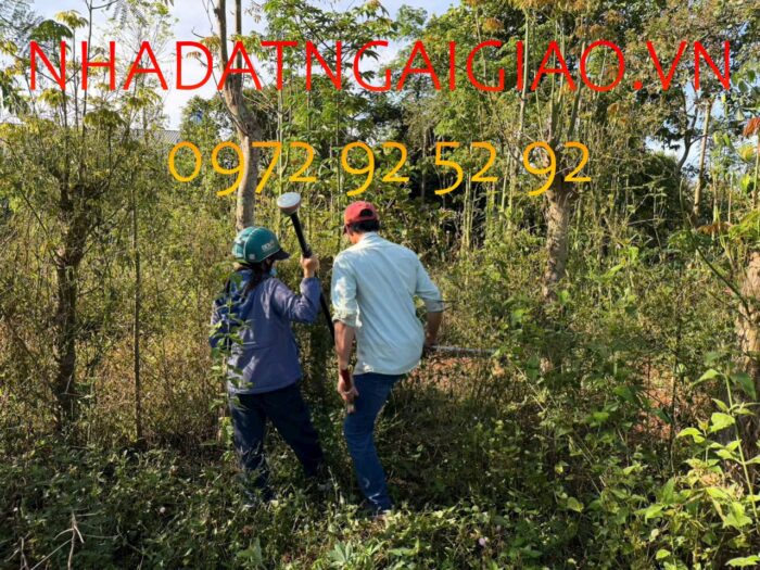 Đo đạc nhà đất tại Ngãi Giao, Hồ Chí Minh giá rẻ - Đo nhanh trong ngày