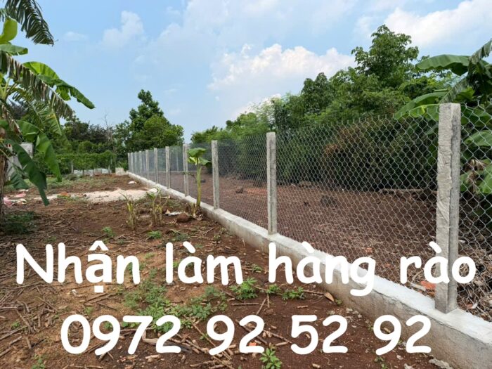 5 lý do nên làm hàng rào lưới B40 ngay hôm nay