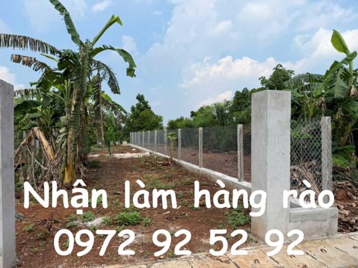 5 lý do nên làm hàng rào lưới B40 ngay hôm nay