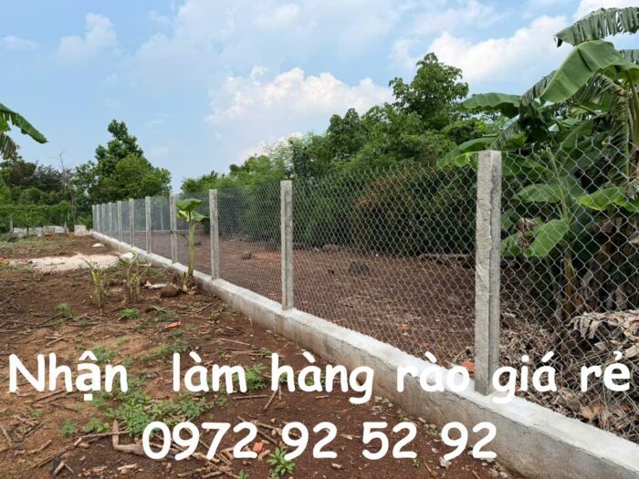 Kinh nghiệm chọn lưới B40 chất lượng 