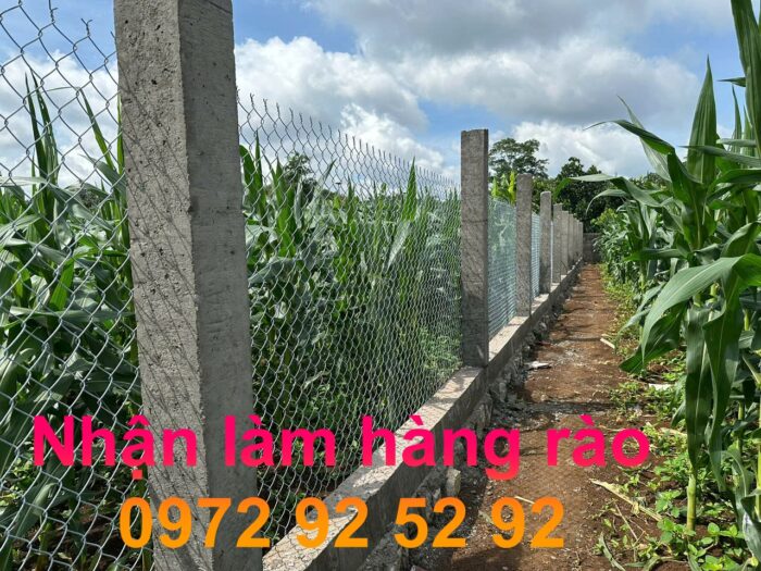 Làm Hàng rào lưới B40 cho trang trại 0972 92 52 92