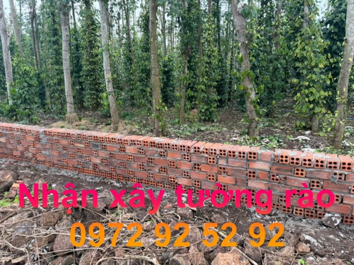Nhận xây tường rào tại Ngãi Giao, Hồ Chí Minh giá rẻ