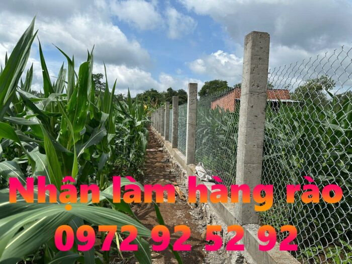 Thợ làm hàng rào tại Châu Pha, Hồ Chí Minh giá rẻ 