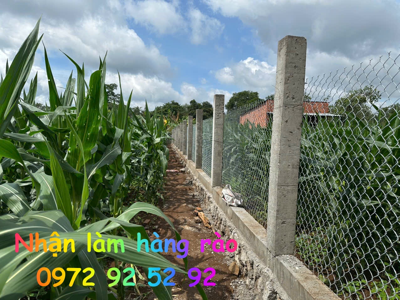 dich-vu-lam-hang-rao-tai-ngai-giao-ho-chi-minh-gia-re-2027