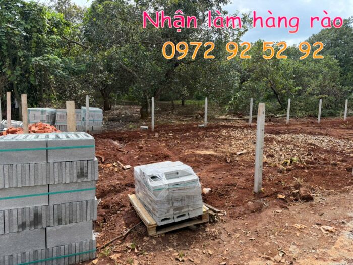 dich vu lam hang rao tai chau duc 2026 thi cong nhanh