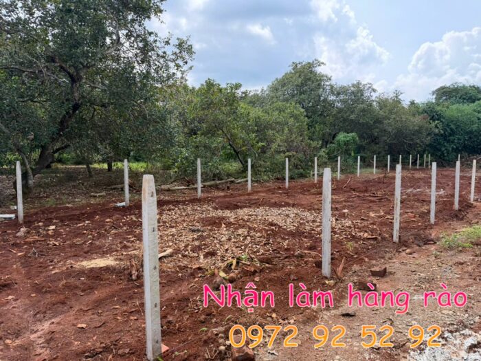 gia lam hang rao luoi b40 tai ngai giao ho chi minh 2026