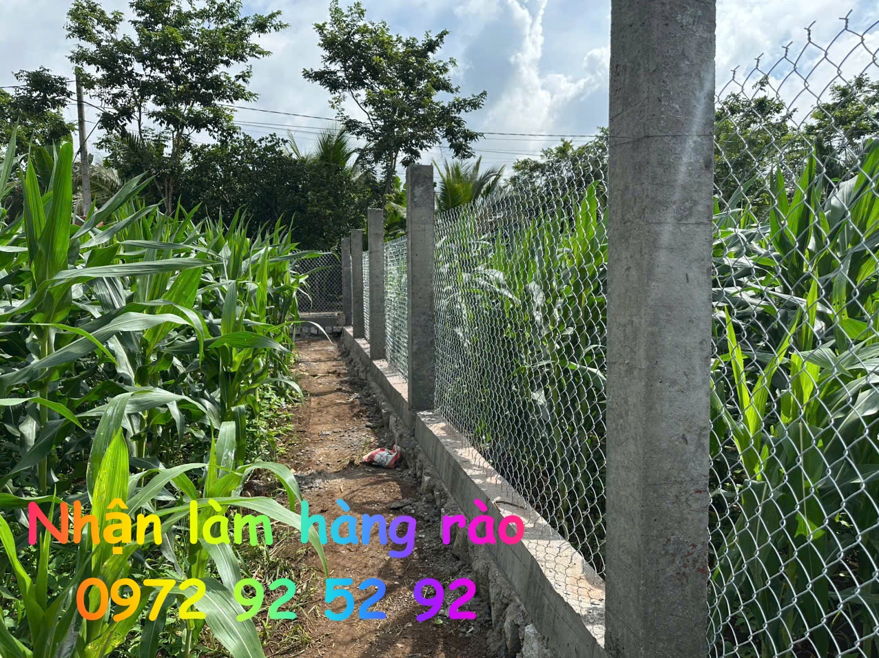 nhan-lam-hang-rao-tai-ngai-giao-ho-chi-minh-gia-re-2027