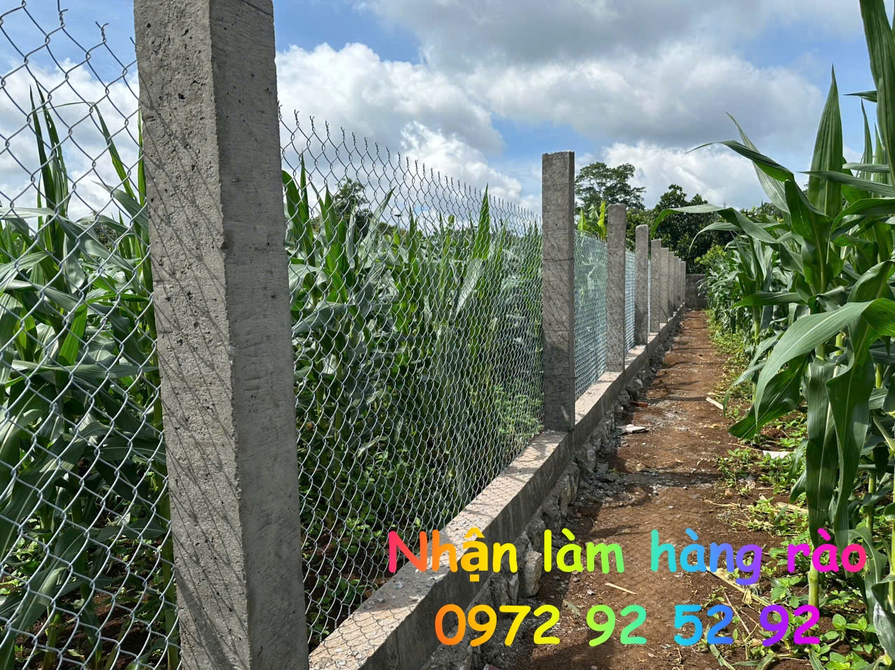 nhan-lam-hang-rao-tai-ngai-giao-ho-chi-minh-gia-re-2027