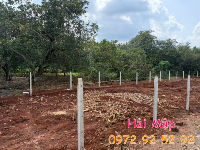 thi cong hang rao luoi b40 tai ngai giao ho chi minh gia re ben dep
